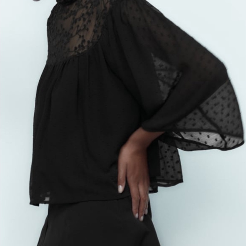 NWT ZARA Embroidered Swiss dot blouse ruffle round neck